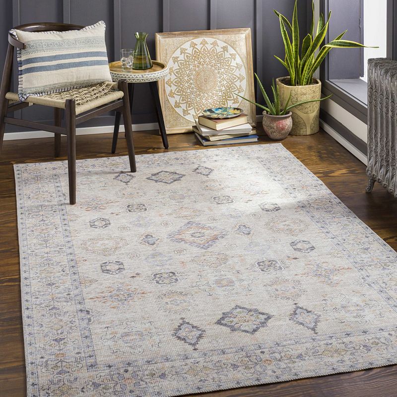 North Utica Traditional Washable Area Rug