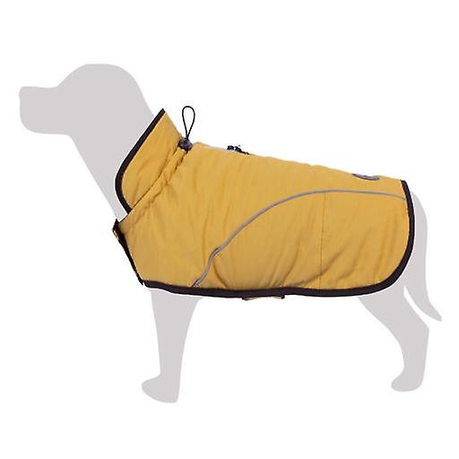 Arquivet Alaska Honey Color Raincoat (Dogs ， Dog Clothes ， Raincoats)