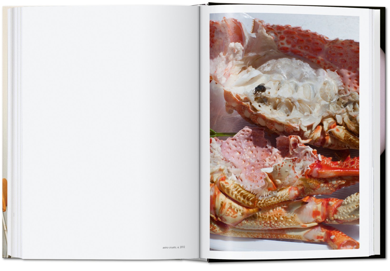 Wolfgang Tillmans four books 40th Anniversary Edition