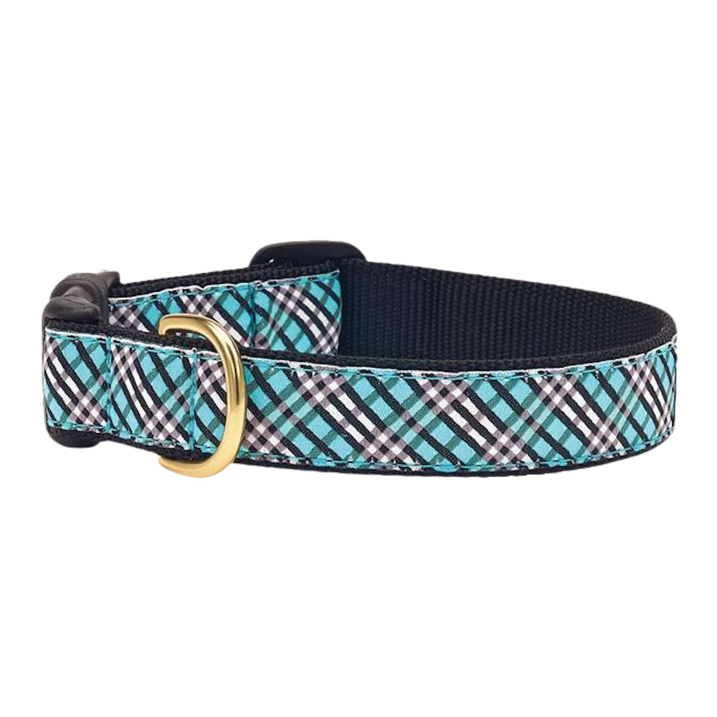 Collar | Aqua Plaid