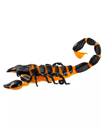 Discovery Kids RC Scorpion  Glow In The Dark Body  Wireless Remote-Control Toy for Kids