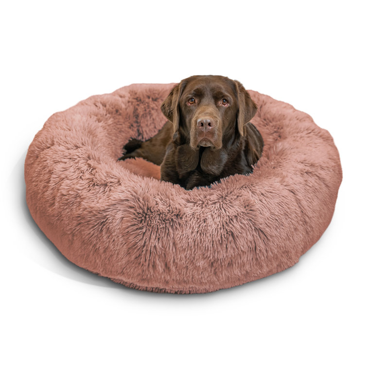 Best Friends by Sheri The Original Calming Donut Cat and Dog Bed