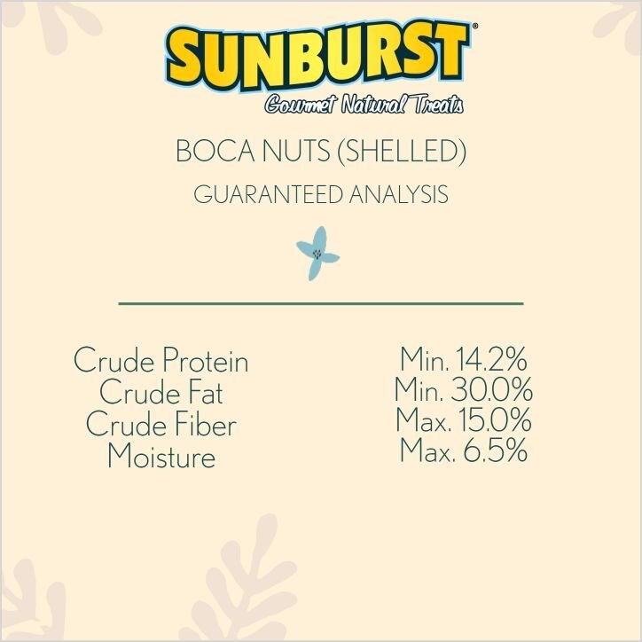 Higgins Sunburst Gourmet Treats No Shell Boca Nuts Macaw and Parrot Bird Treats， 20-lb bag