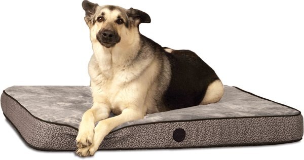 KandH Pet Products Superior Orthopedic Pillow Cat and Dog Bed， Gray