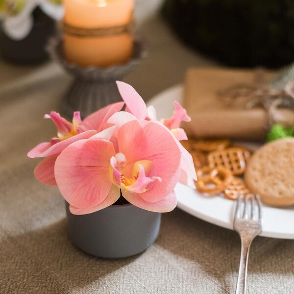 RusticReach Mini Real Touch Potted Orchid in Peach Pink