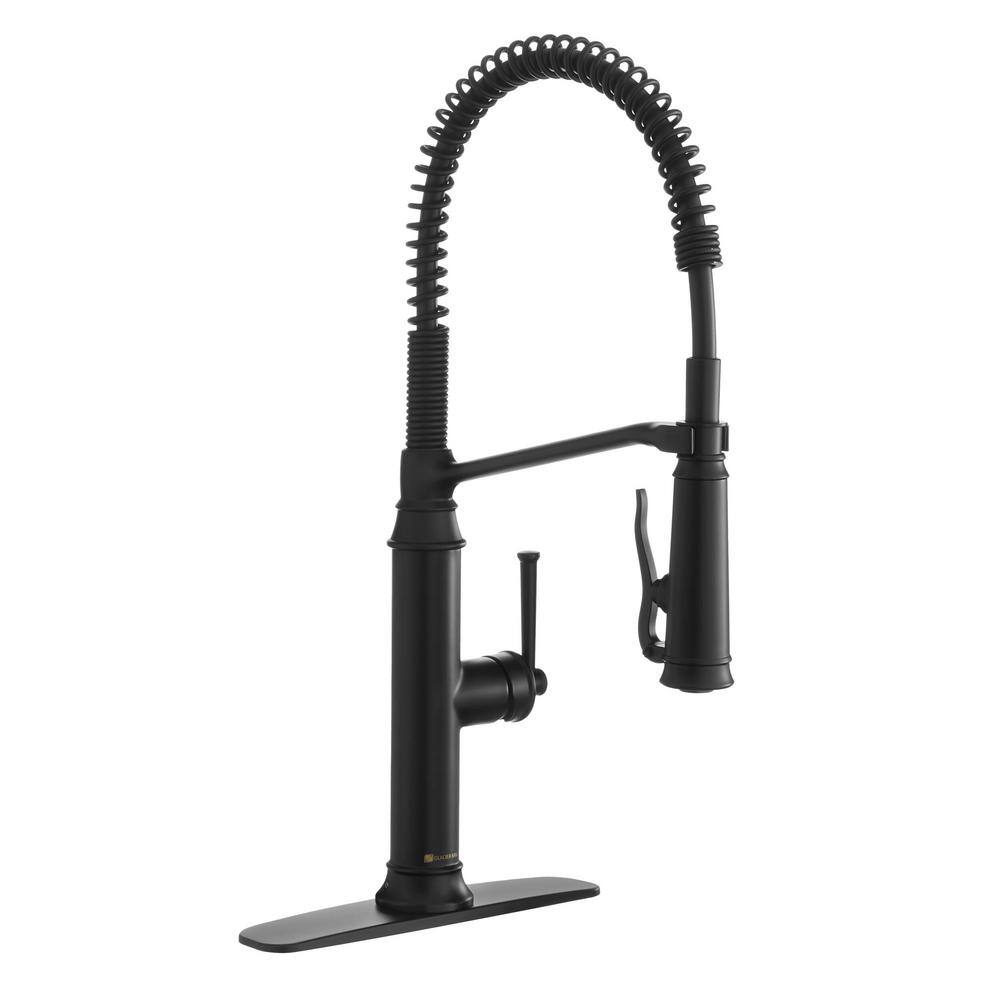 Glacier Bay Linscott Single-Handle Coil Springneck Pull-Down Sprayer Kitchen Faucet in Matte Black FP1B4202BL