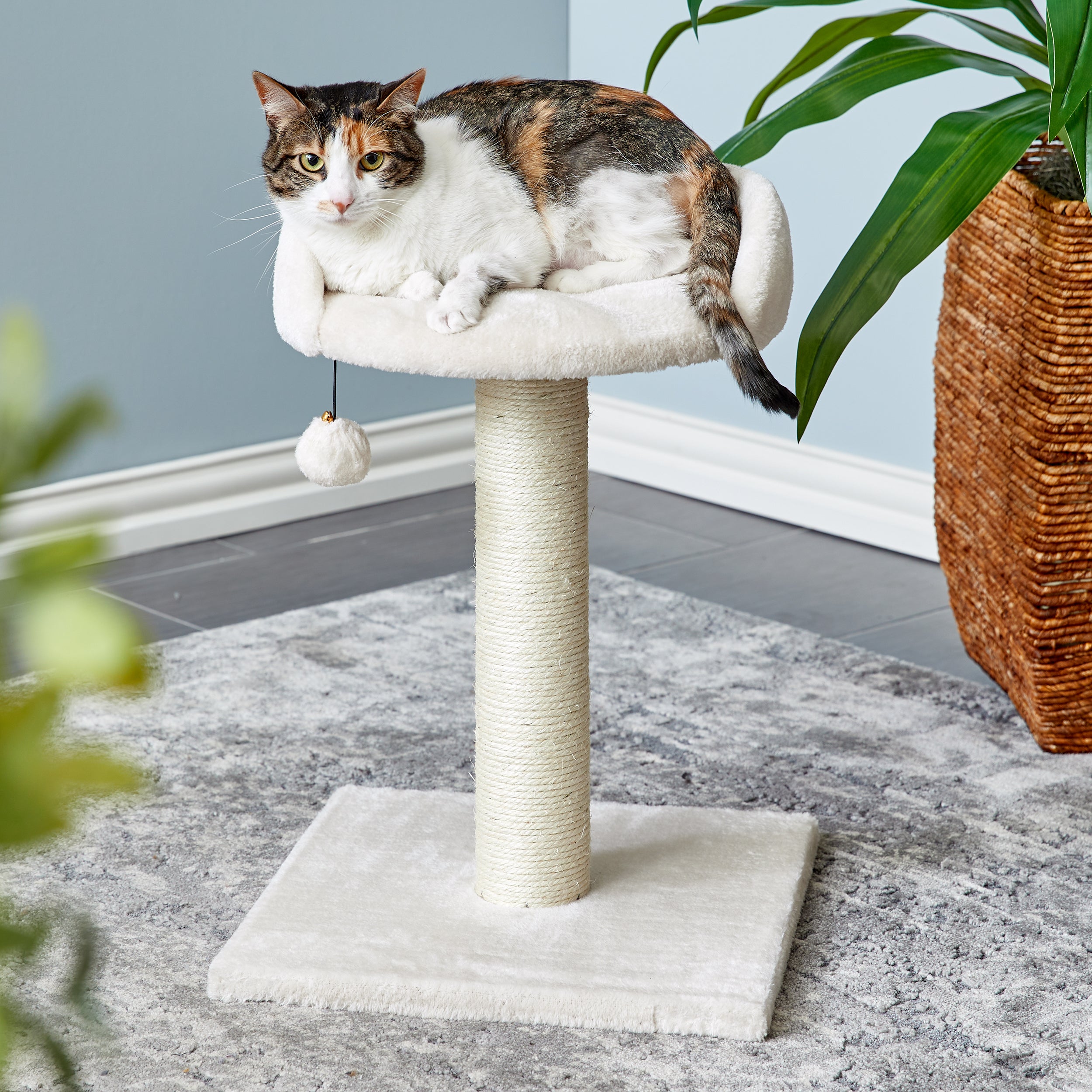 Two by Two Milkwood Small Cat Tree and Scratching Post