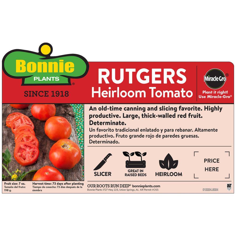 Bonnie Plants 1.19 qt. Rutgers Tomato Plant (6-Pack) 0217