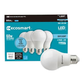 EcoSmart 60-Watt Equivalent A19 Dimmable ENERGY STAR LED Light Bulb Daylight (48-Pack) B7A19A60WESD34