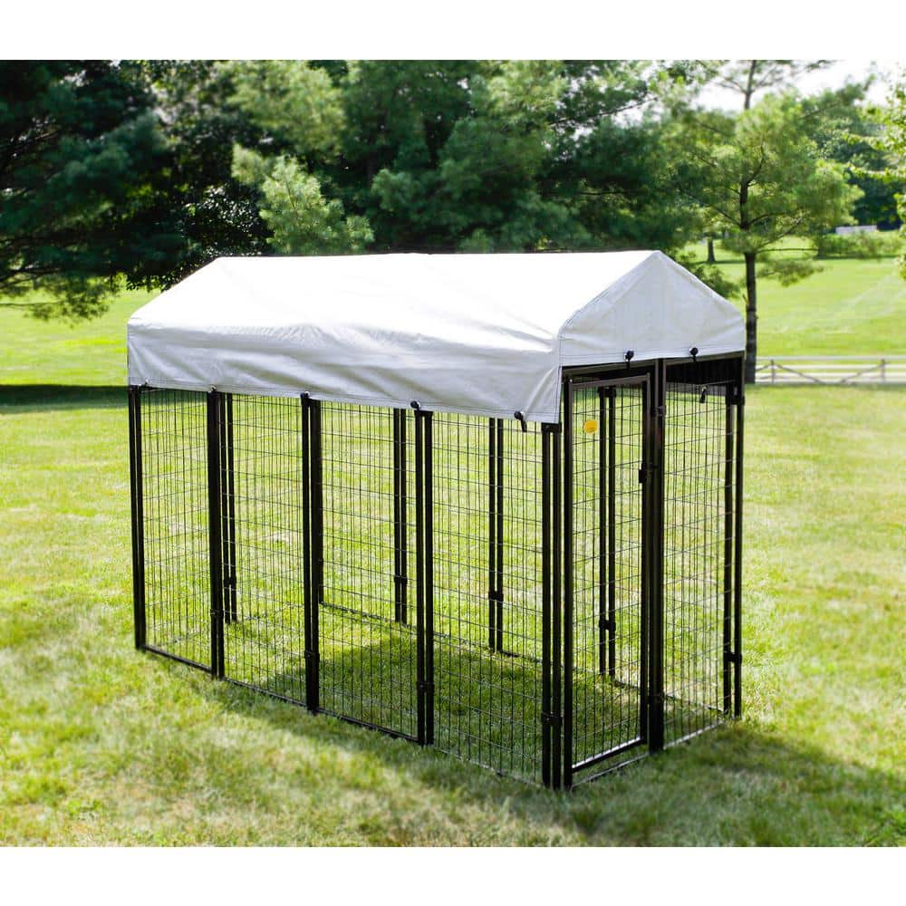 KennelMaster 4 ft. x 8 ft. x 6 ft. Welded Wire Dog Fence Kennel Kit DK648WC