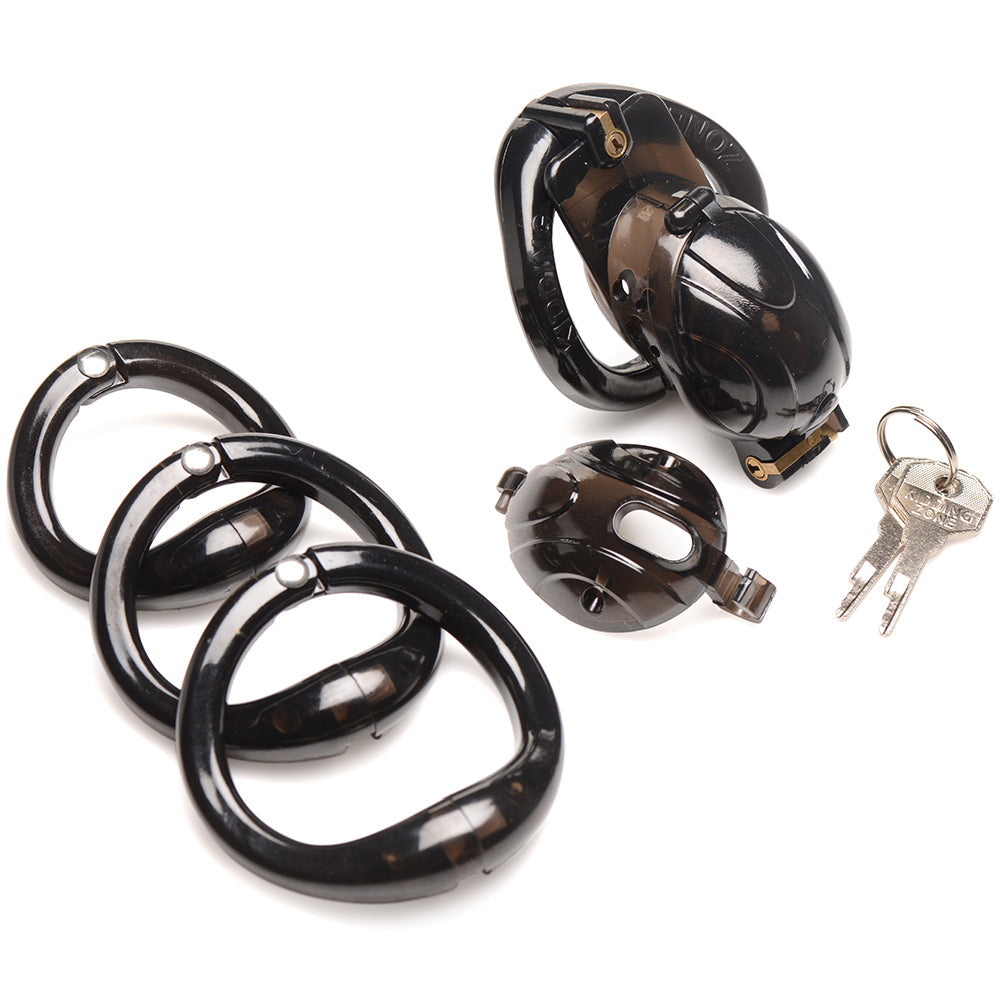 Master Series Double Lockdown Chastity Cage in Black