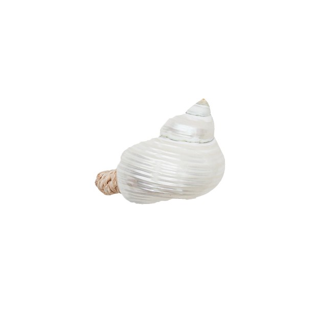 Gallerie Ii Turbo Shell White Napkin Ring Set Of 6