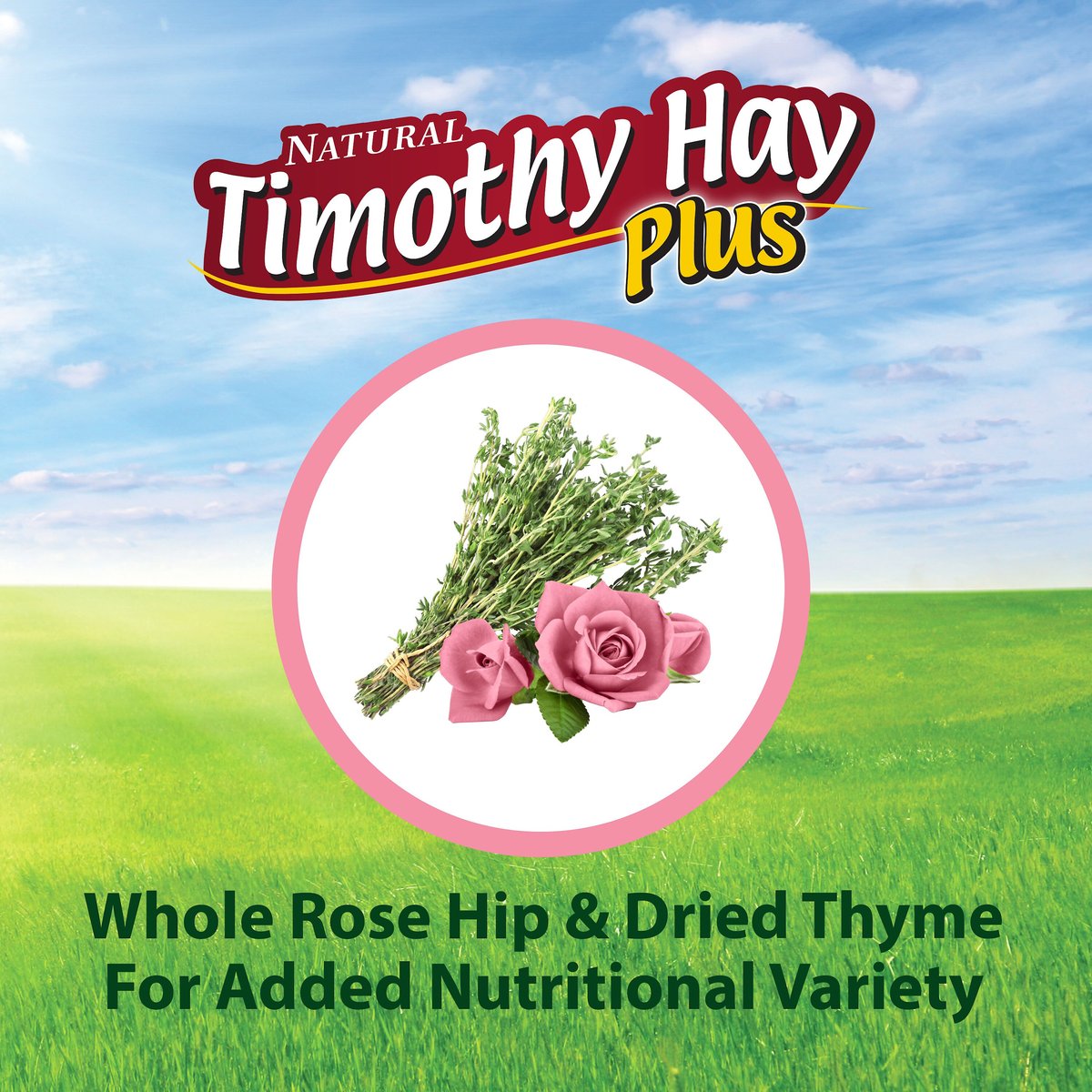 Kaytee Rose and Thyme Timothy Hay Blend Rabbit Food， 24-oz bag