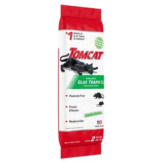 TOMCAT Super Hold Glue Traps Rat Size for Rats Mice Snakes Cockroaches Spiders and Scorpions Ready-To-Use 2 Traps 036291005