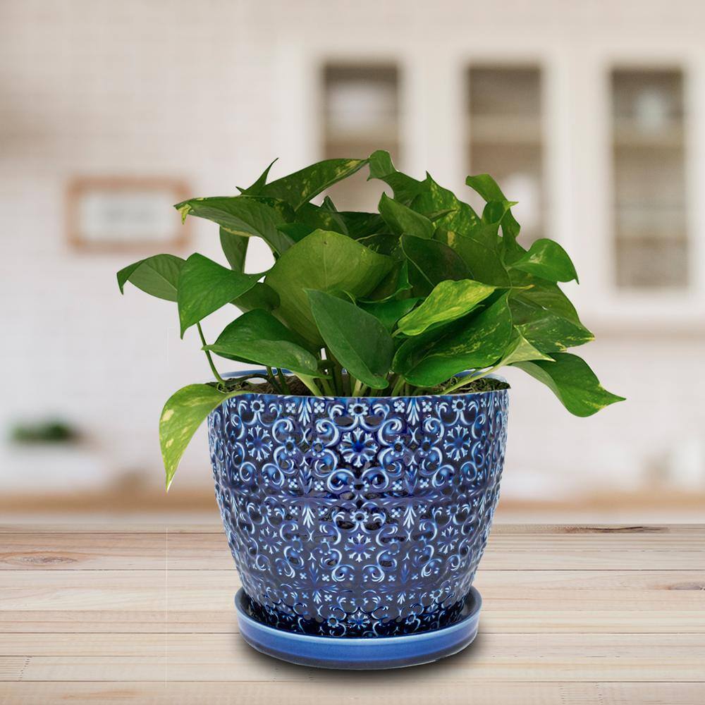 Trendspot 10 in. Dia Blue Mediterranean Bell Ceramic Planter CR11403S-100A