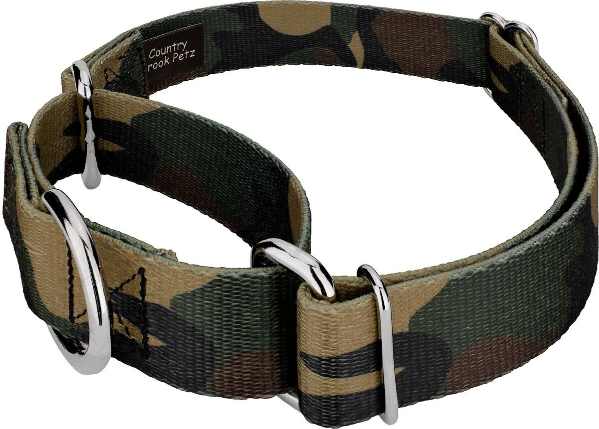 Country Brook Design Woodland Camo Polyester Martingale Dog Collar and Leash