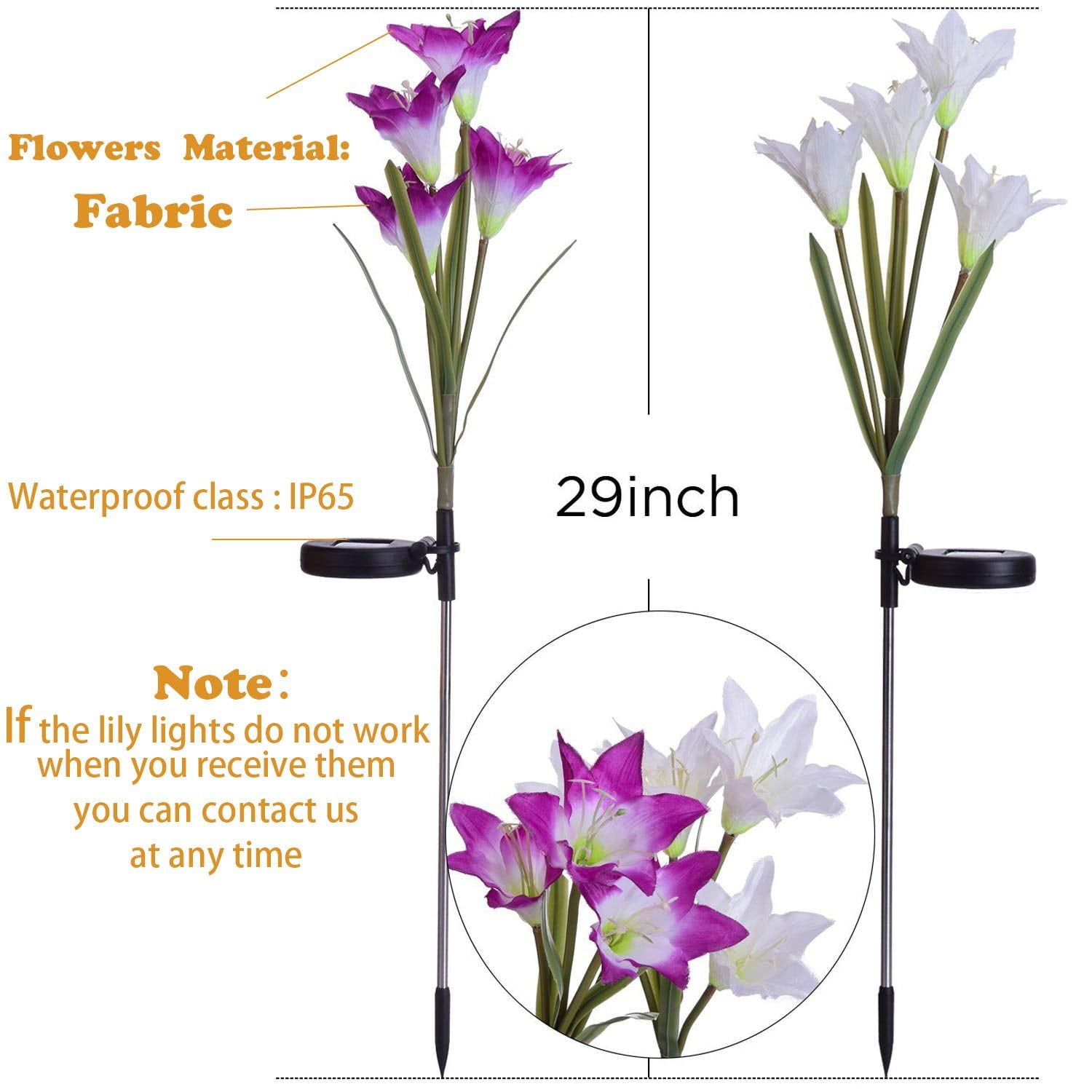 2 Pack Outdoor Solar Garden Stake Lights - Coolmade Solar Powered Lights with 8 Lily Flower， Multi-color Changing LED Solar Stake Lights for Garden， Patio， Backyard (Purple and White)