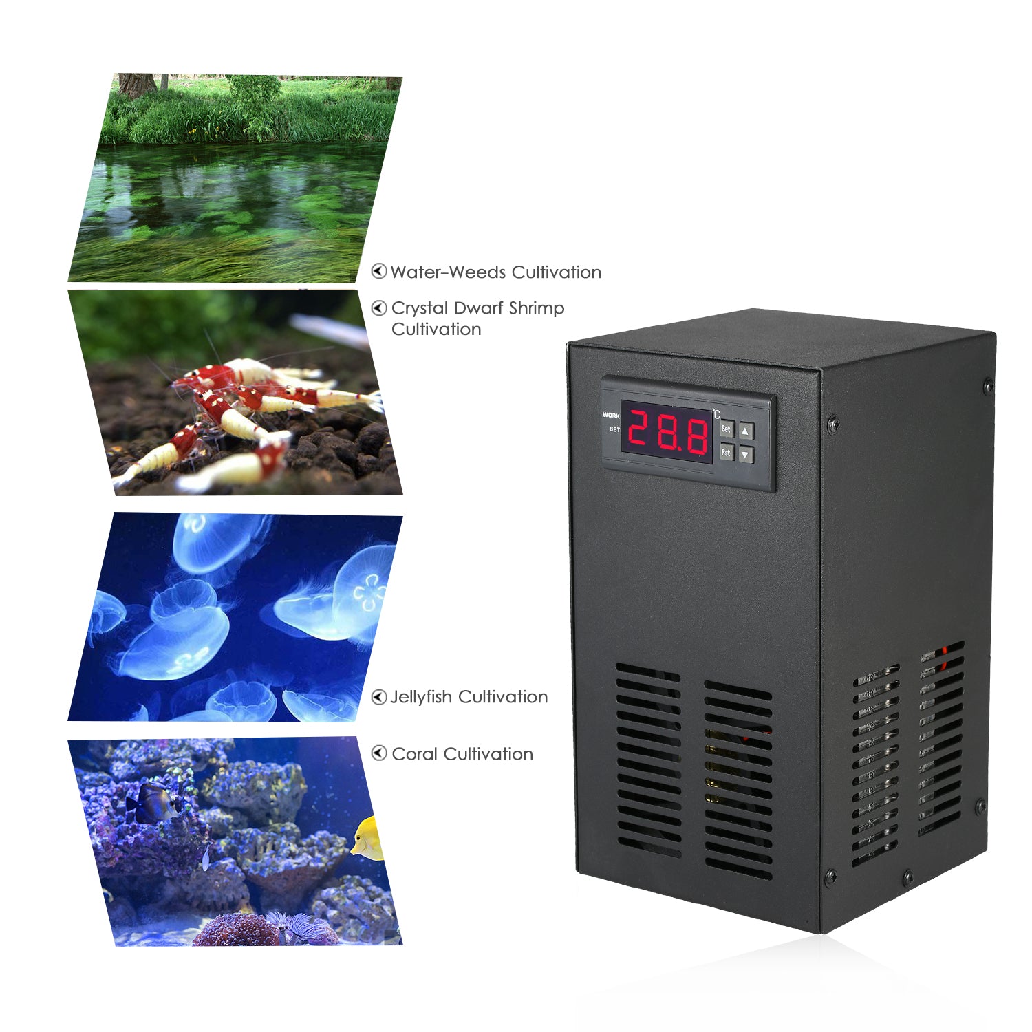 35L 70W Aquarium Chiller Cooling System LCD Display Semiconductor Refrigeration Water Chiller Fish Tank Constant Temperature Cooling Equipment