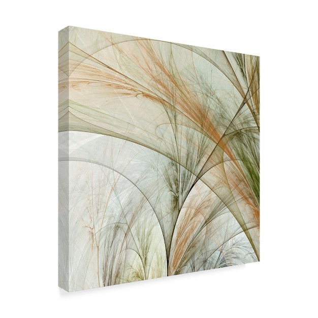 Trademark Fine Art james Burghardt x27 fractal Grass Iii x27 Canvas Art