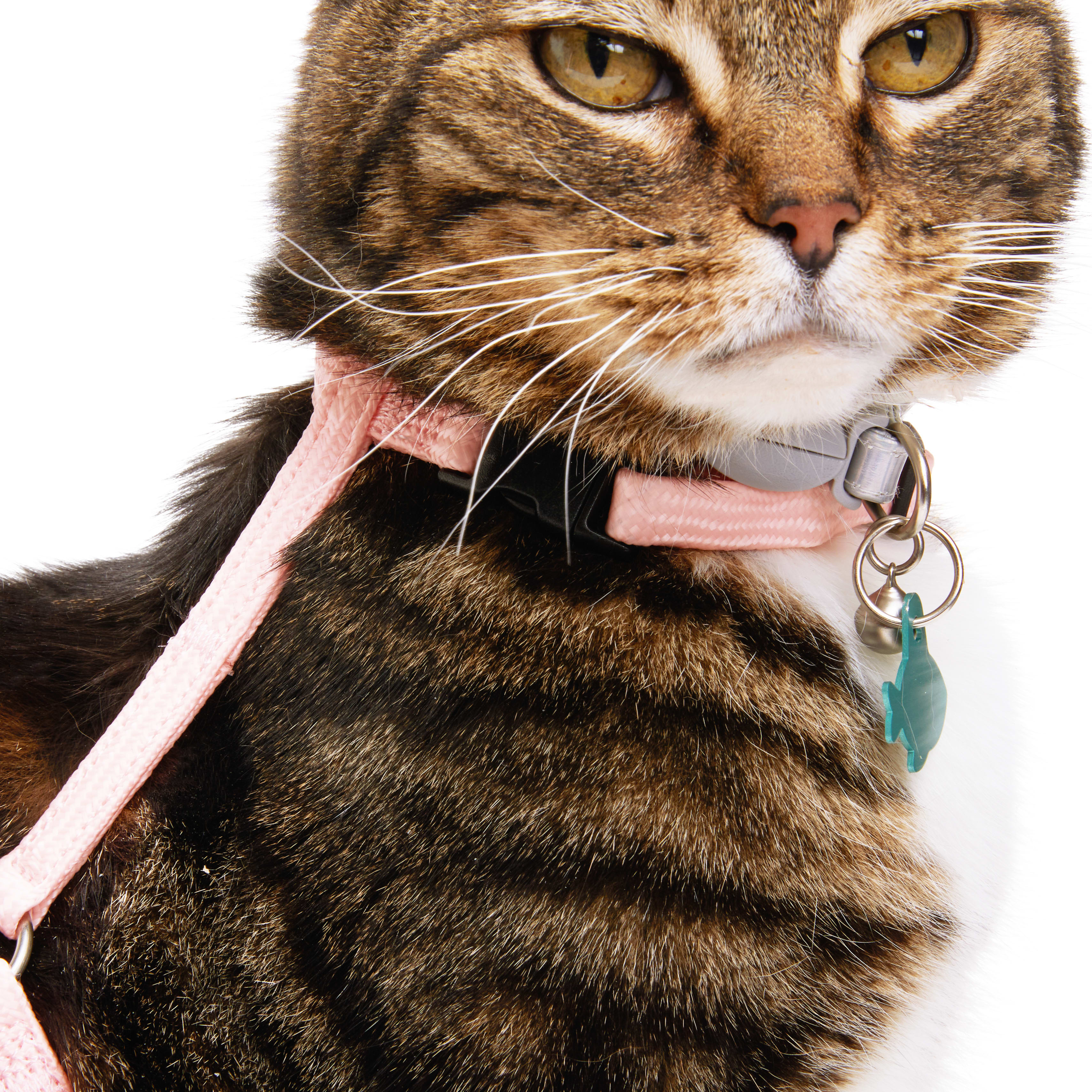 YOULY Pink Glow in the Dark Cat Harness  Lead