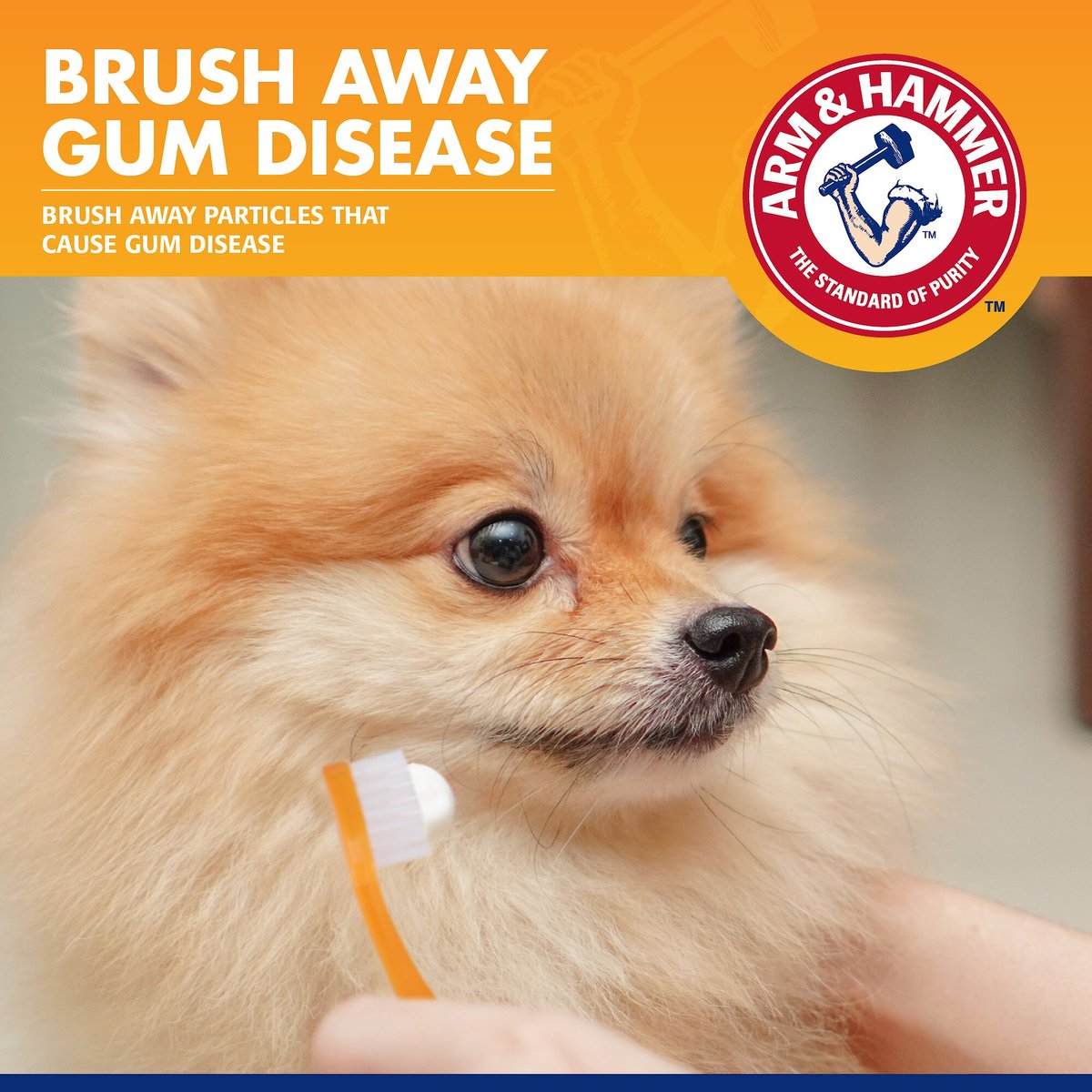 Arm and Hammer Tartar Control Small Dog Toothbrush