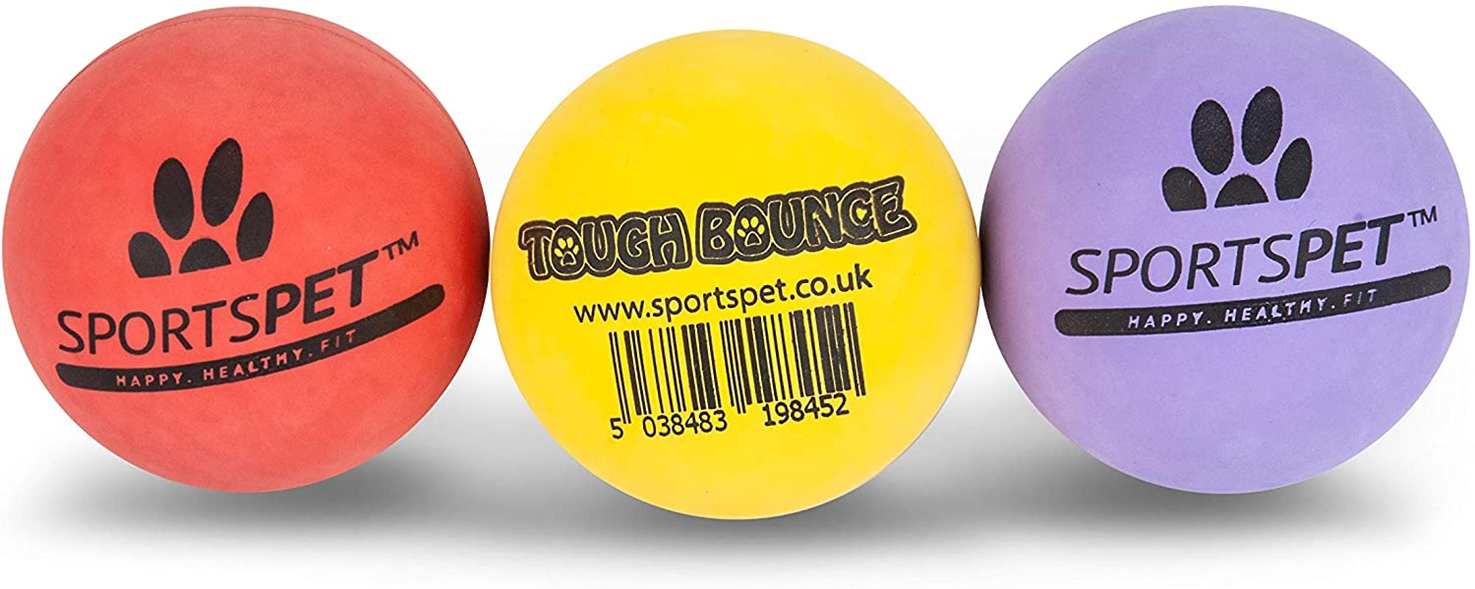 Sportspet Tough Bounce Natural Rubber Dog Balls