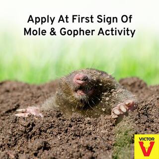 Victor 32 oz. Ready-To-Use Mole and Gopher Repellent Spray M8002