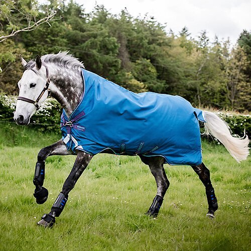 Rhino Plus Turnout Horse Sheet