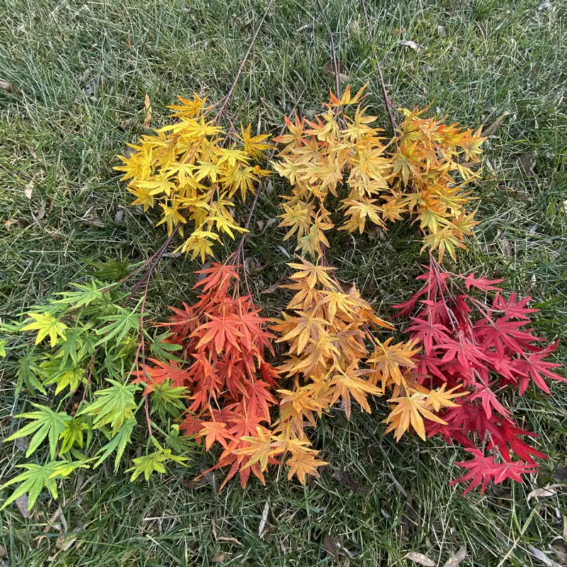 Maple leaves  ginkgo leaves  banyan leaves branches and leaves Real Touch for Home Indoor Outdoor Decor