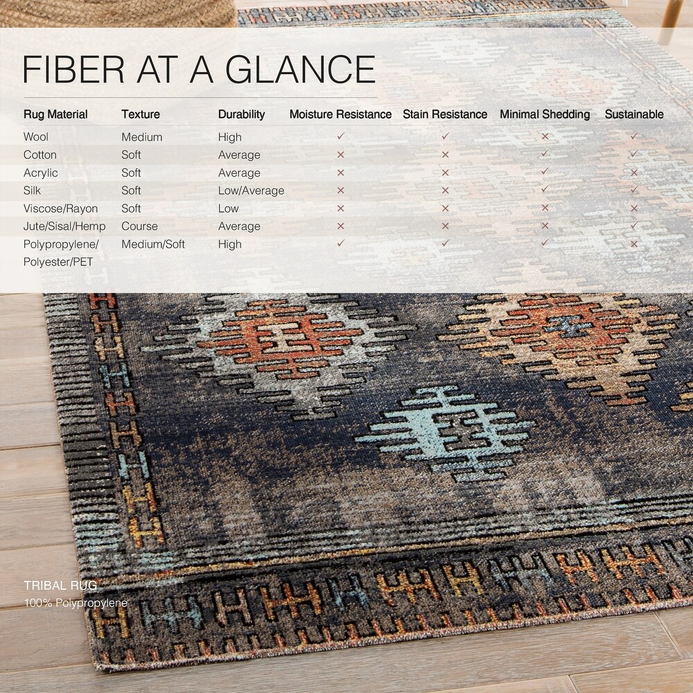 Dez Indoor and Outdoor Tribal Area Rug