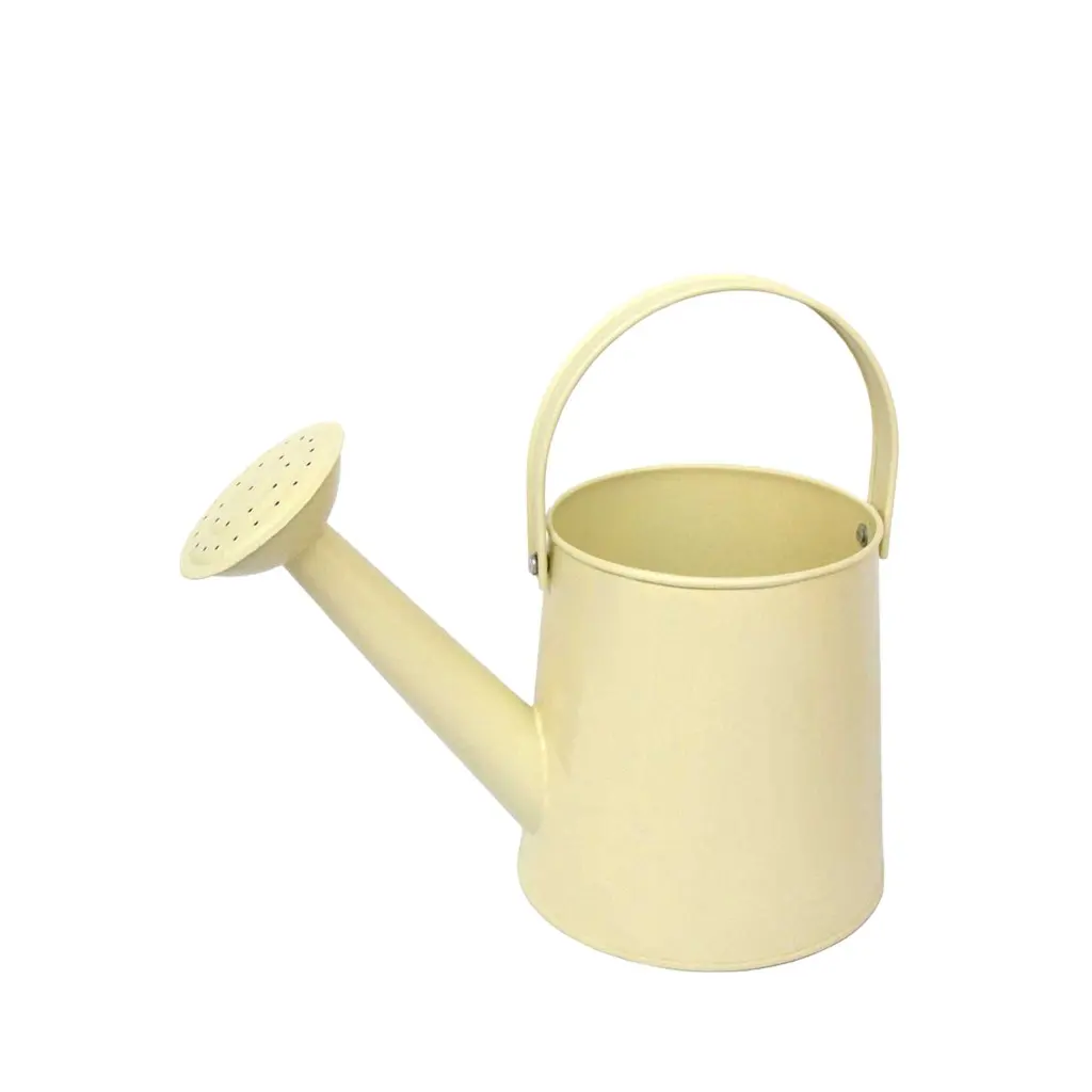 Wholesale High Quality Custom Color Long Mouth Metal Watering Can Garden Water Can