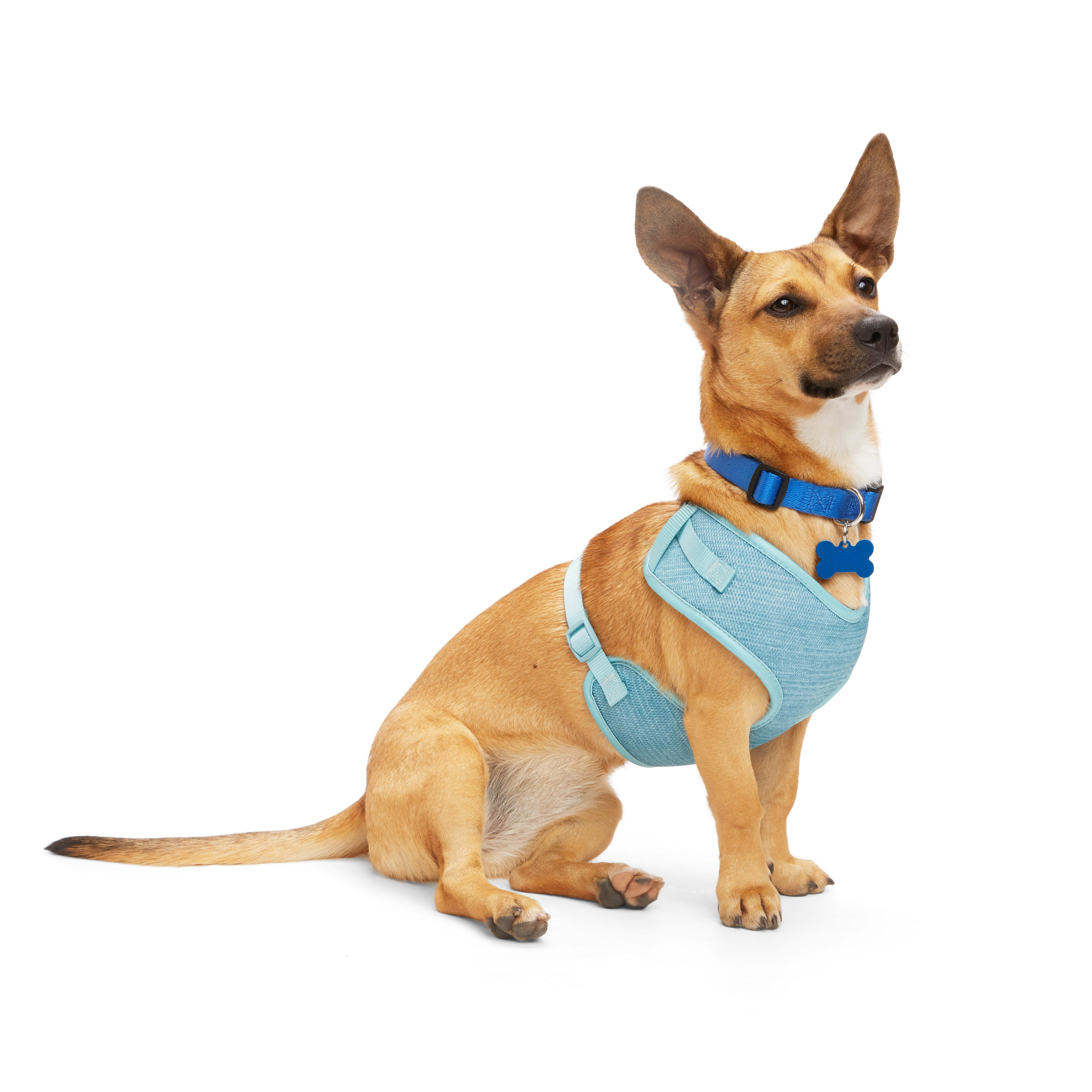 EveryYay Teal Heather Pullover Dog Harness， X-Small