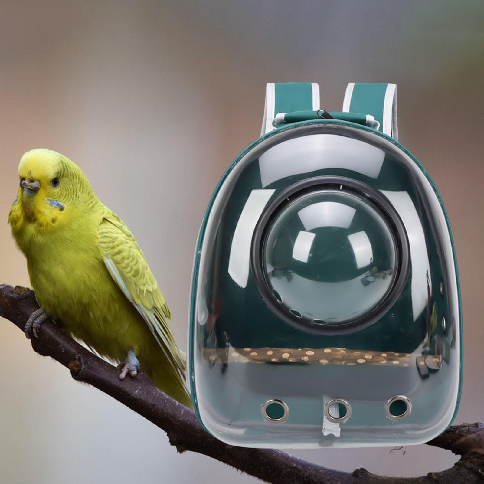 Travel Cage Waterproof Transparent Perch with Travel Backpack Parrot Out Backpack Bird Carrier for Camping Outdoor ， Green， 32x26x41cm