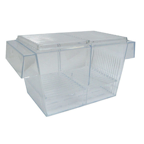 YML H001 Brand New Fish hatchery Tank Size 5L