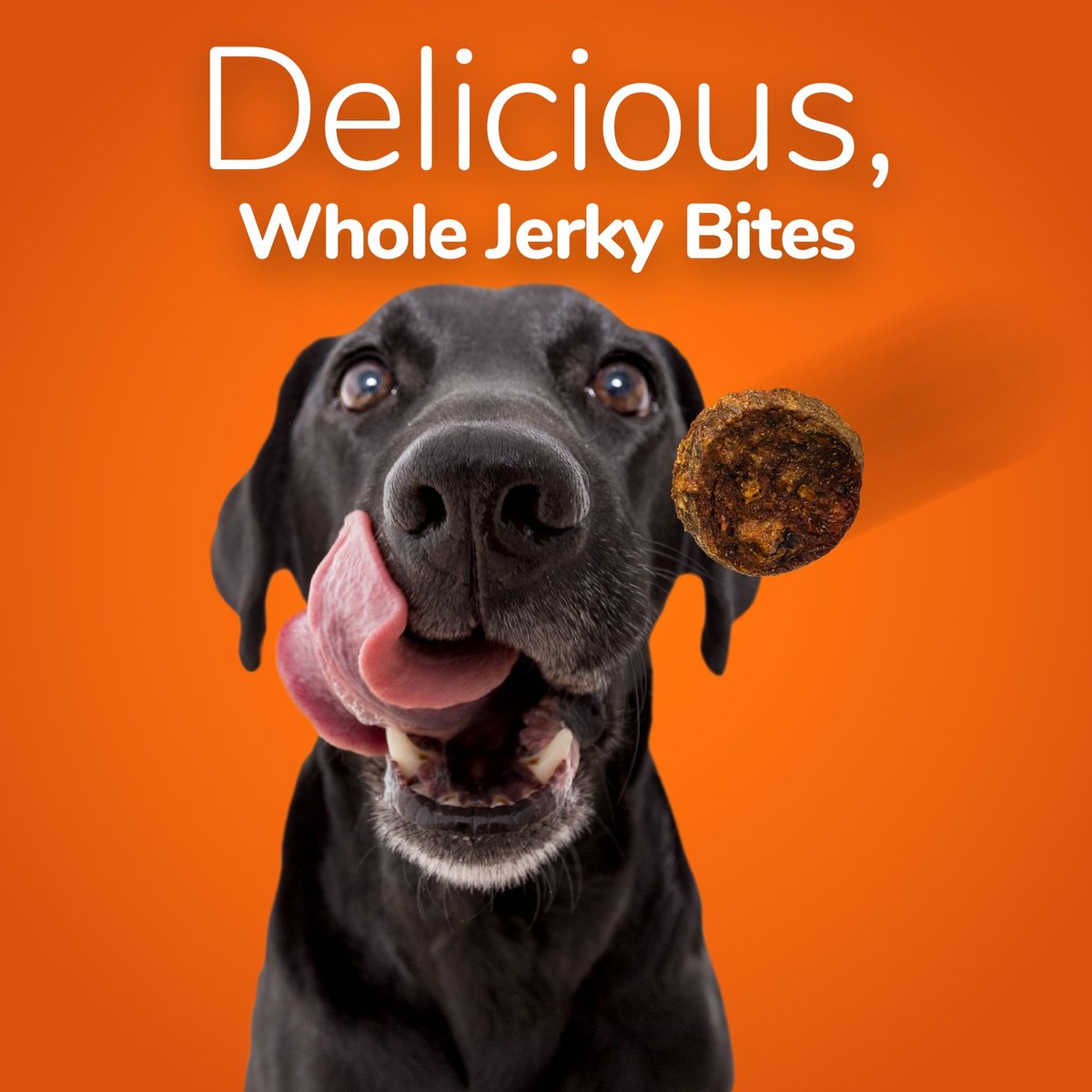 Fruitables Whole Jerky Bites Alaskan Salmon and Pear Dog Treats， 5-oz bag