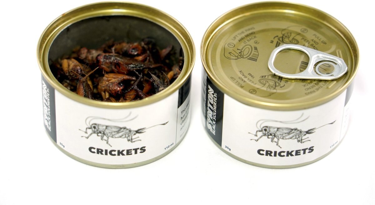 Symton Crickets Canned Reptile Food， 35-g， count of 3