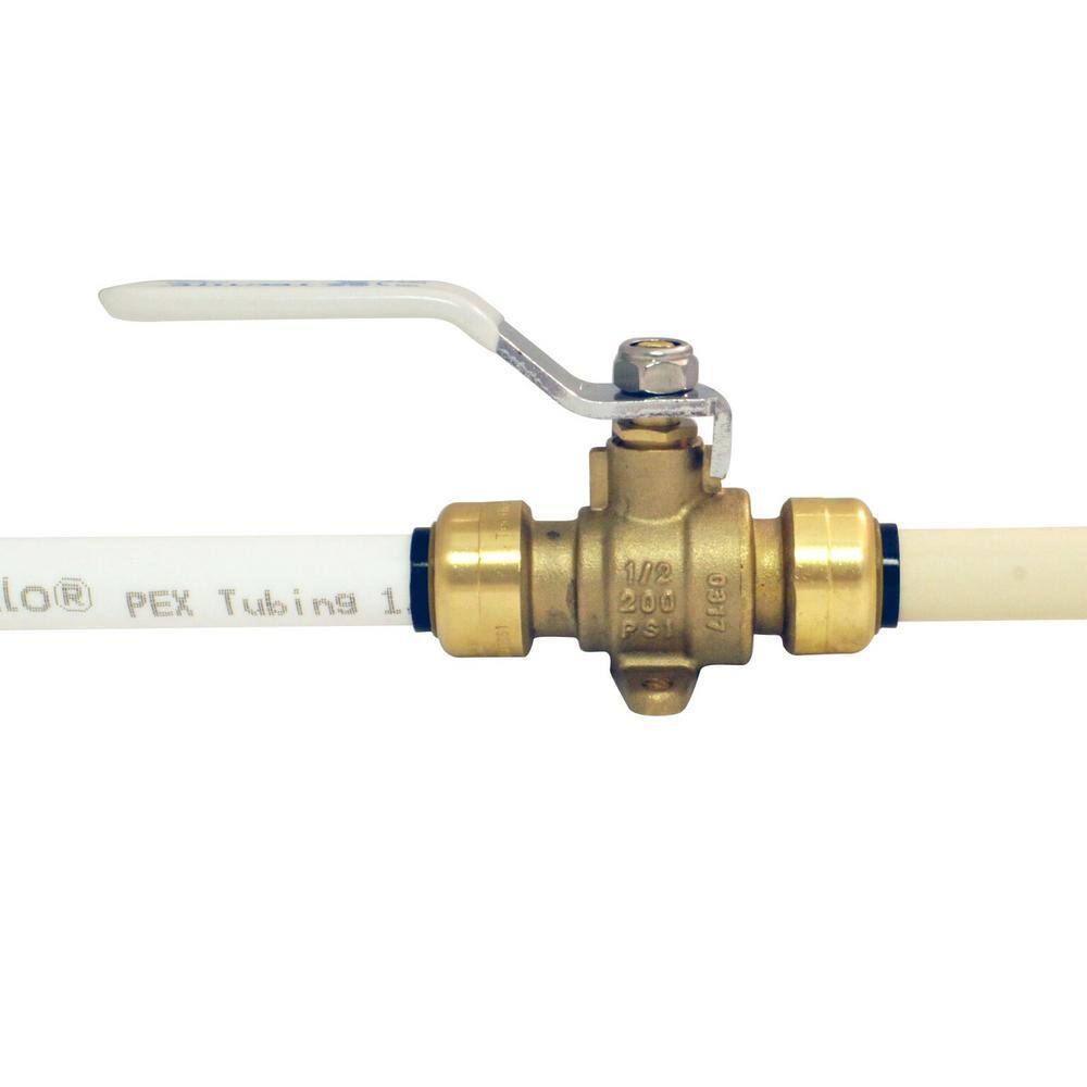 Tectite 12 in. Brass Push Ball Valve with Flange and Drain FSBBV12DE