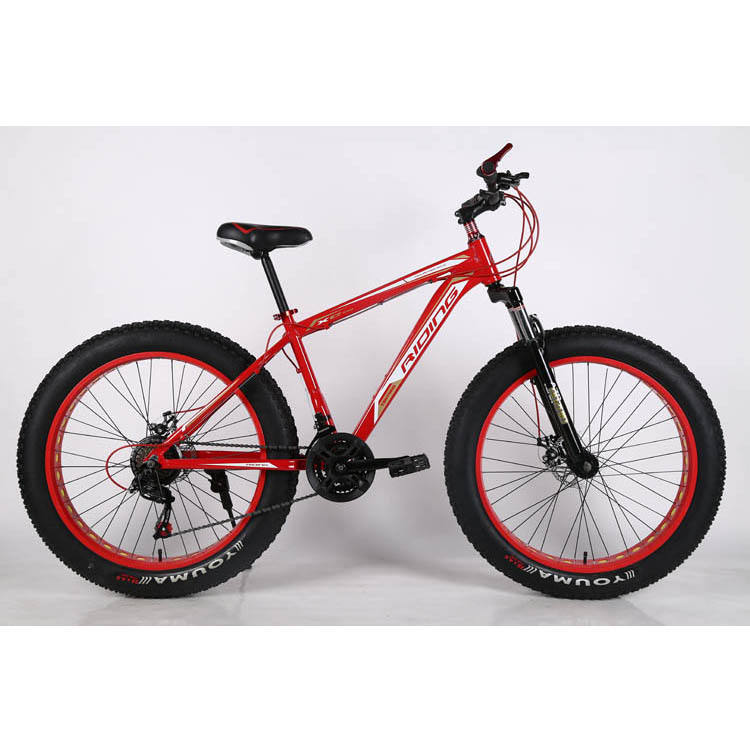 2023 Aluminum alloy frame High Speed Mountain Bike Fat Tire bicycle For Snow bike  Beach Bike With high quality and best price