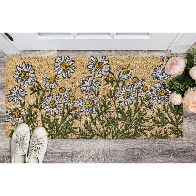 Tagltd 1 x27 6 quot x3 x27 3 quot chamomile Herb Flower Garden Rectangle Indoor And Outdoor Coir Door Welcome Mat Multicolored On Beige Background