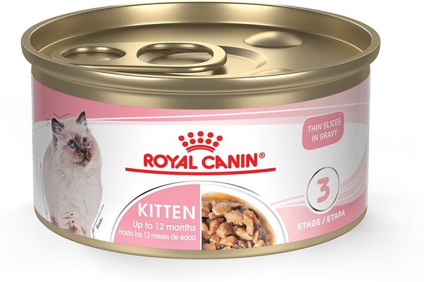 Royal Canin Feline Health Nutrition Kitten Thin Slices in Gravy Canned Cat Food