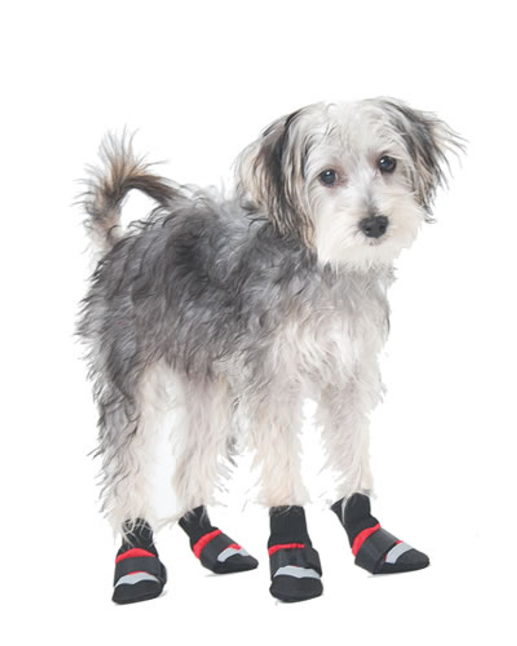 Ethical Pet Extreme All Weather Dog Boots