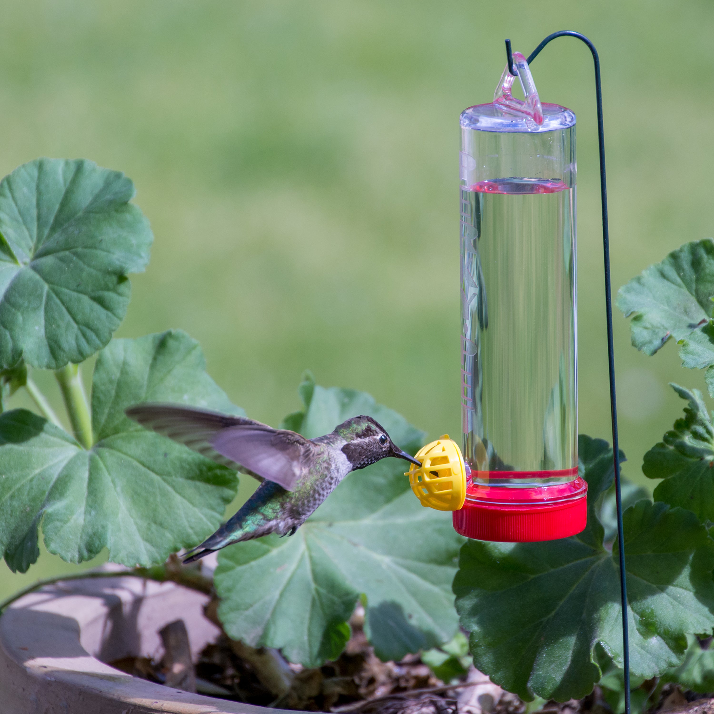 Perky-Pet Planter Box 3 oz Plastic Hummingbird Feeder with Hanging Rod