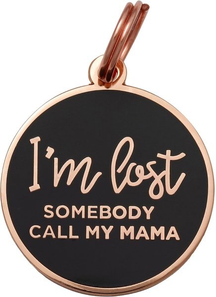 Two Tails Pet Company I'm Lost Personalized Dog ID Tag