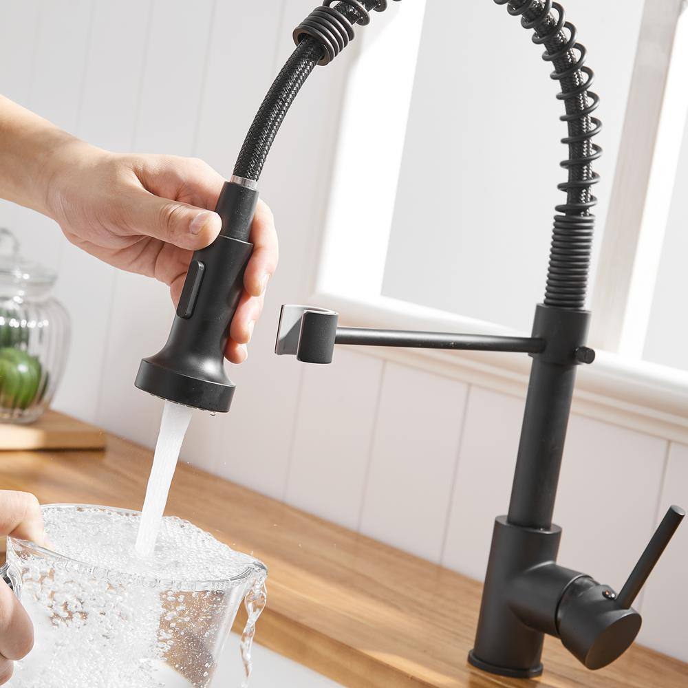 Boyel Living Stainless Steel Faucet Single-Handle Faucet Pull-Down Sprayer Kitchen Faucet Black BM289B-45