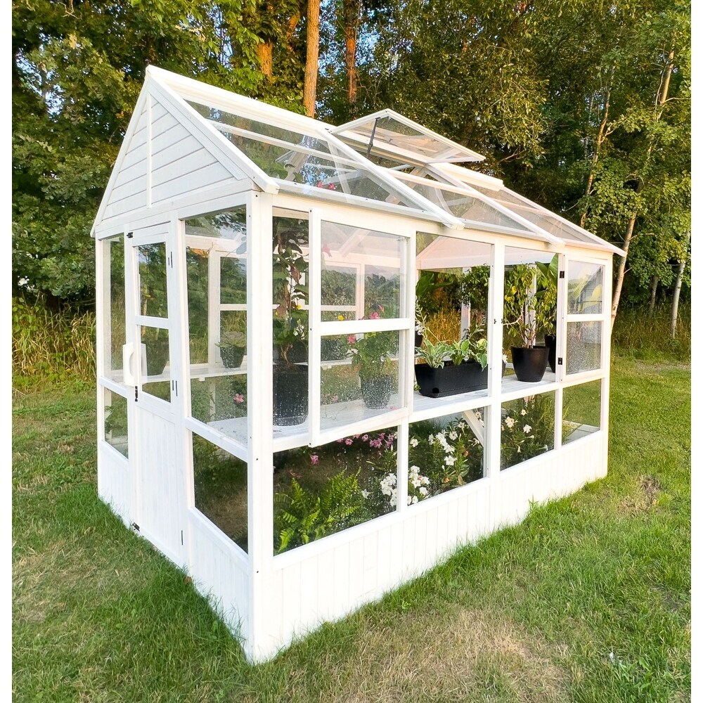 Zylina XL Hobby Greenhouse   103 x 78 x 89