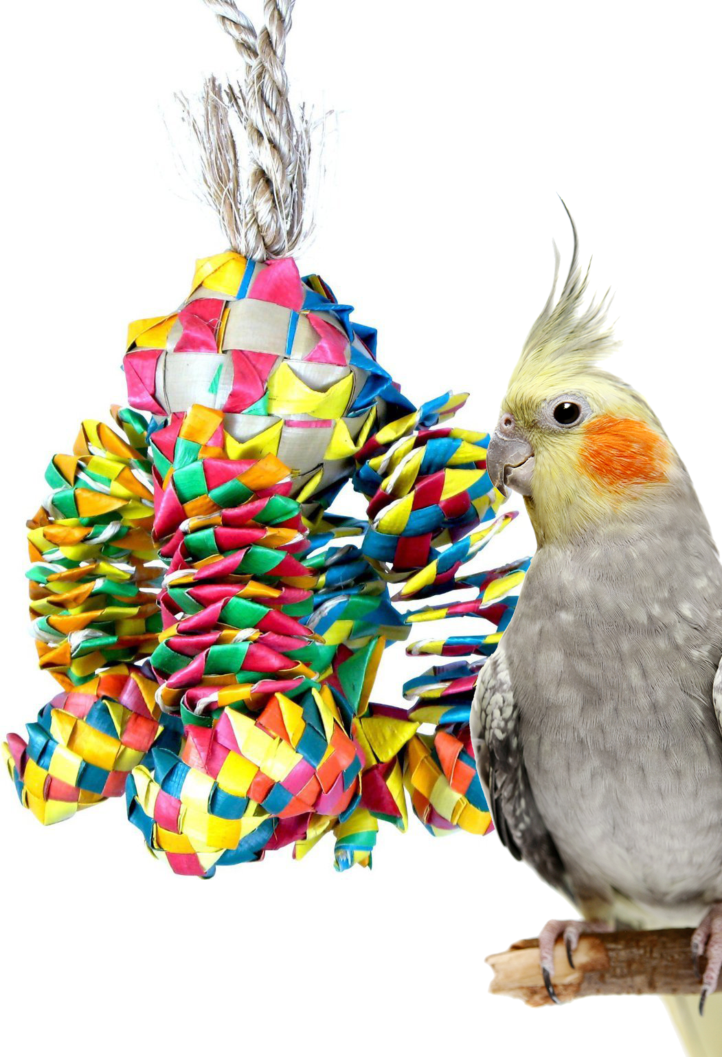 Bonka Bird Toys 03326 Small Diamond Bouncer Bird Toy.