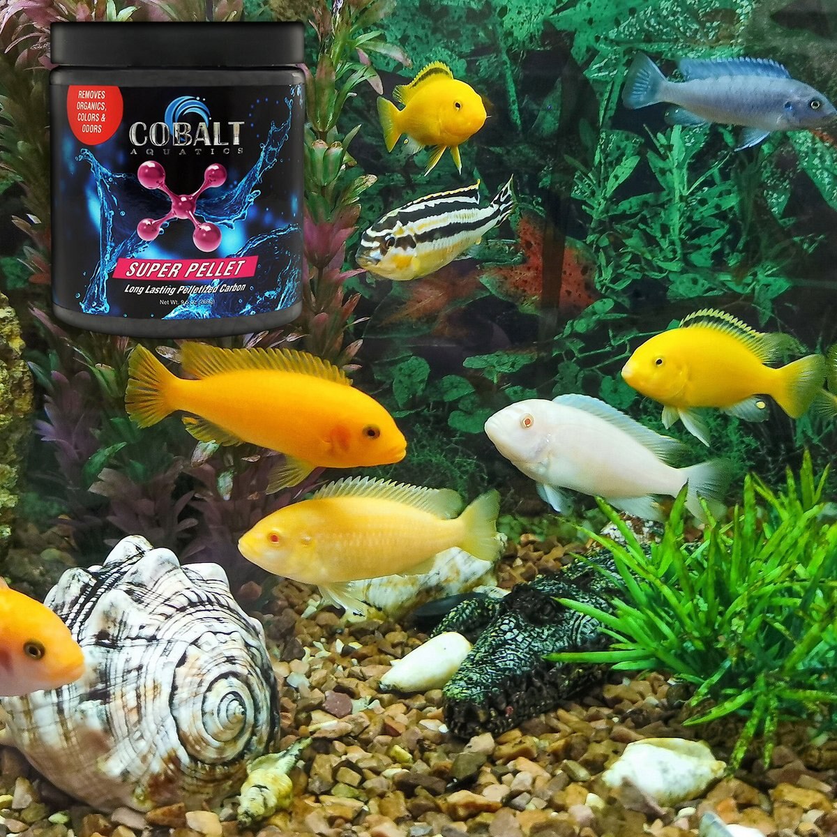 Cobalt Aquatics Super Pellet Aquarium Carbon， 44-oz tub