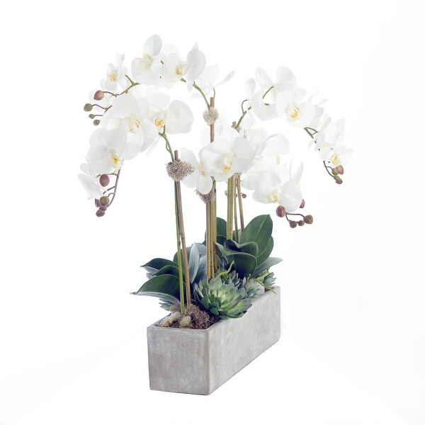 Modern Cream White Real Touch Silk Orchid Arrangement