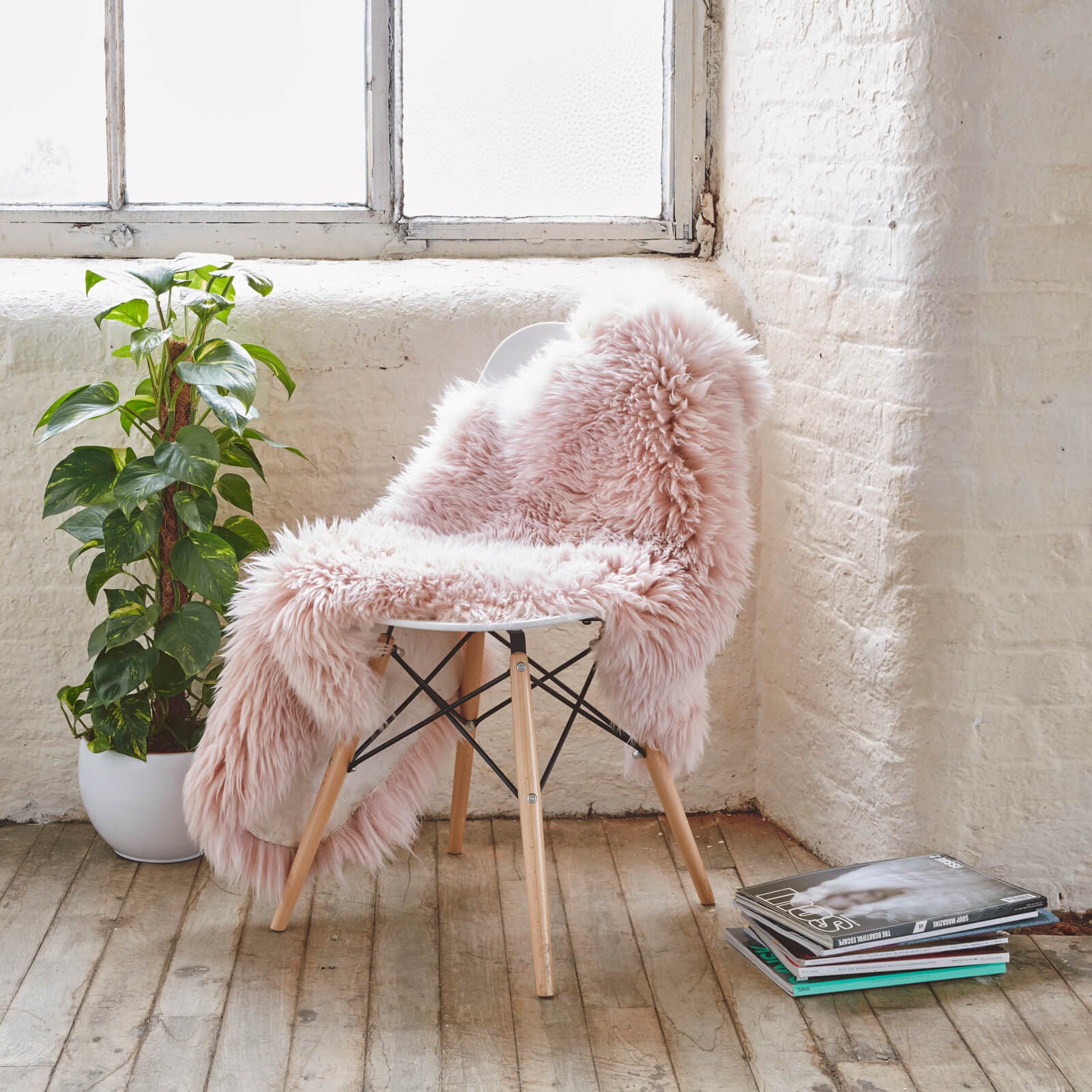 Luxurious Sheepskin Rug -Natural Shp-P