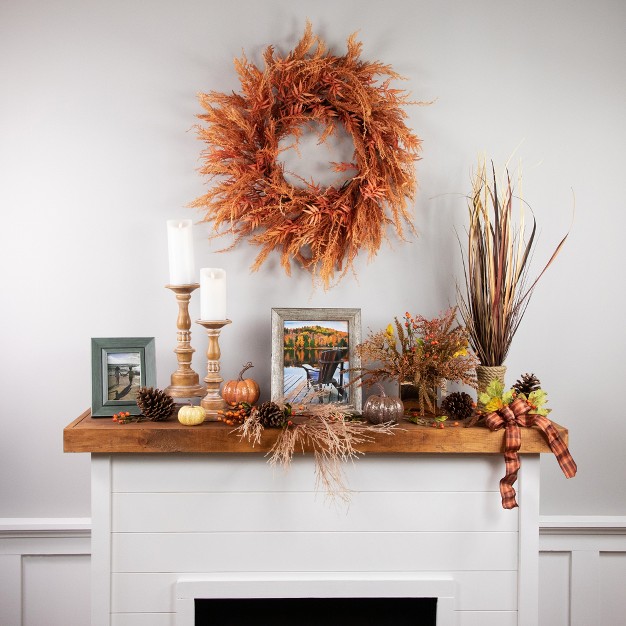 Northlight Peachy Pampas Grass Artificial Fall Harvest Wreath， 24-inch - Unlit